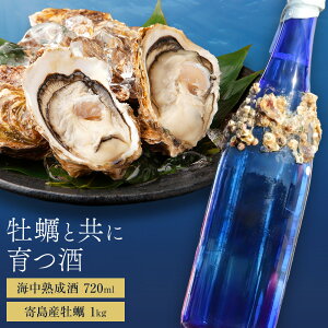 yӂ邳Ɣ[ŁzyƋɈ Cn 720ml R 񓇎Y y 1kg ÔS𑢊Ёs1{]1{oׁt R s {   AR[ ċ CN