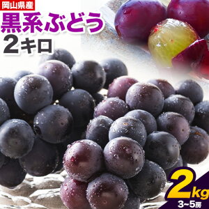 yӂ邳Ɣ[Łzy2026Ns\znԂǂ 2kg sI[l I[ubN RY 3[ ~ 5[s2026N9{-9{oׁtЂ炽_ nԂǂ  R s Ԃǂ t