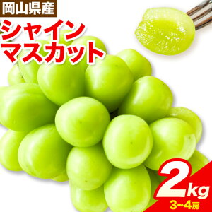 yӂ邳Ɣ[Łzy2026Ns\zVC}XJbg RY 2kg 3[ ~ 4[s2026N9{-9{oׁtЂ炽_ }XJbg  R s VC}XJbg Ԃǂ t