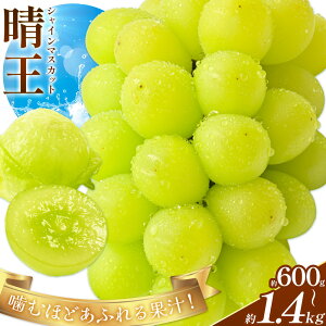 yӂ邳Ɣ[Łzy2026Ns\zԂǂ VC}XJbg  Iׂ 600g 700g 1.2kg 1.4kg Vt[cs2026N9{-10o(yj)tR s  }XJ