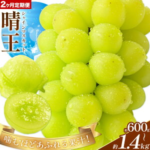 yӂ邳Ɣ[Łzy2026Ns\zy2ցzԂǂ VC}XJbg  Iׂ 600g`2kg Vt[cs2026N9{-10oׁtR s }XJbg t[c 