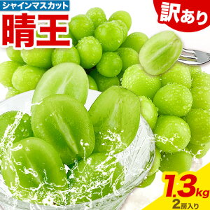 yӂ邳Ɣ[Łzy2025Nz 󂠂 VC}XJbg  2[ 1.3kg RYs9{-10{o(yj)tnmt[c }XJbg  R s t[c ƒ