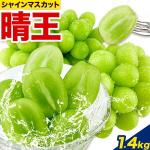 yӂ邳Ɣ[Łzy2025Ns\tz Ԃǂ VC}XJbg  2[ 1kg  1.4kg RYs9{-11{o(yj)t nmt[c }XJbg  R 