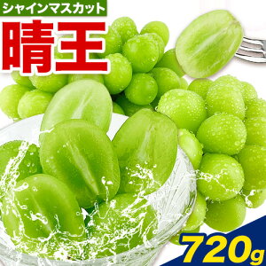 yӂ邳Ɣ[Łzy2025Ns\tzԂǂ VC}XJbg  1[ (500g-720g) RYs9{-11{o(yj)t nmt[c }XJbg  R s 
