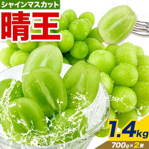 yӂ邳Ɣ[Łzy2026Ns\tzԂǂ VC}XJbg  Iׂ 600g ` 1.4kg RYs7{-8oׁt nmt[c }XJbg  R s t[c 