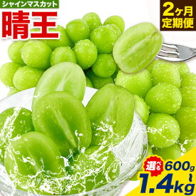 【ふるさと納税】【2026年先行予約】ぶどう 2ヶ月 定期便 シャインマスカット 晴王 選べる 600g 〜 1.4kg 岡山県産《7月上旬-8月末頃出荷》 ハレノフルーツ マスカット 送料無料 岡山県 浅口市 フルーツ 果物 国産 岡山県産【配送不可地域あり】
