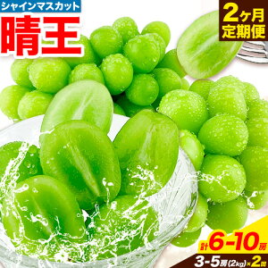 yӂ邳Ɣ[Łzs\ VC}XJbg  2  VC}XJbg  1[ 600g RY 2[ 1kgs2026N9{-10o(yj)t nmt[c }XJb