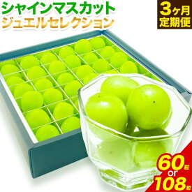 【ふるさと納税】 【2025年先行予約】シャインマスカット 3ヶ月 定期便 ジュエルセレクション ぶどう 岡山県産《9月上旬-11月下旬頃出荷(土日祝除く)》 ハレノフルーツ マスカット 送料無料 岡山県 浅口市 フルーツ 果物 贈り物 ギフト 国産 岡山県産【配送不可地域あり】