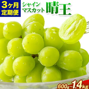 yӂ邳Ɣ[Łzy3ցzԂǂ VC}XJbg  600g 700g 1.2kg 1.4kg 1[ 2[ }XJbgRs2026N7{-9oׁtR s  t[c ʕ }XJbg 