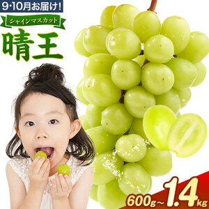 yӂ邳Ɣ[Łzys\zԂǂ VC}XJbg  600g 700g 1.2kg 1.4kg 1[ 2[ nmt[c(AXgC)s9{-11{oׁtR s  t[c ʕ }XJ