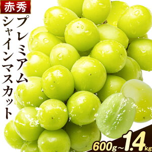 yӂ邳Ɣ[Łzys\zԂǂ VC}XJbg ԏG v~A  Iׂ 600g 700g 1.2kg 1.4kg 1[ 2[ nmt[c(AXgC)s9{-11{oׁtR s 