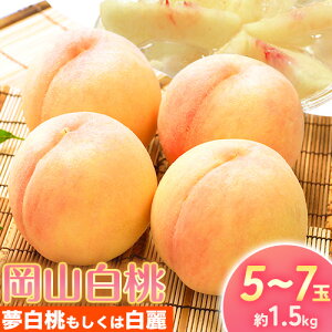 yӂ邳Ɣ[Łzy2026Ns\z  R 5`7 1.5kg Iׂi ([͔P) (͔) RY RЁs2026N7{]7{oׁtR 