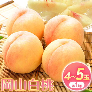 yӂ邳Ɣ[Łzy2026Ns\z  R 4~5 1kg RY RЁs2026N7{-8{蔭\tR s  ʕ t[c 