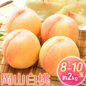 yӂ邳Ɣ[Łzy2026Ns\z  R 8`10 2kg RY RЁs2026N7{-8{oׁtR s  ʕ t[c  yzsn悠