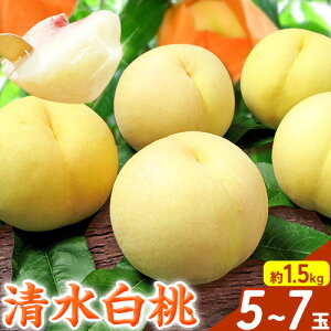 yӂ邳Ɣ[Łzy2026Ns\z   5`7 1.5kg RY RЁyzsn悠zs2026N7{-7{oׁtR s  ʕ t[c 