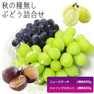 yӂ邳Ɣ[Łzy2026Ns\zH̎햳Ԃǂl j[sI[l VC}XJbg 1[600g RЁs2026N9{-10{蔭\tR s j[s