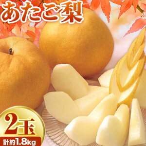 yӂ邳Ɣ[Łzy2025Ns\z 2 v1.8kg RЁs2025N11{-12{蔭\tR s  Ȃ a ʕ t[c 