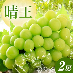 y2026Ns\zyӂ邳Ɣ[ŁzH̃VC}XJbg  Iׂ 1[ 2[ RЁs2026N9{-10{蔭\tR s VC}XJbg }XJbg 