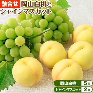 yӂ邳Ɣ[Łzy2026Ns\zR  VC}XJbg l 5 1.5kg 2[ v1.2kg RЁs2026N7{-8{蔭\tR s  }XJbg 