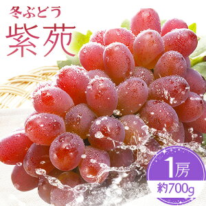 yӂ邳Ɣ[Łz~Ԃǂuv1[700g RЁs2025N10{-12{oׁtR s ~Ԃǂ Ԃǂ ʕ t[c yzsn悠z