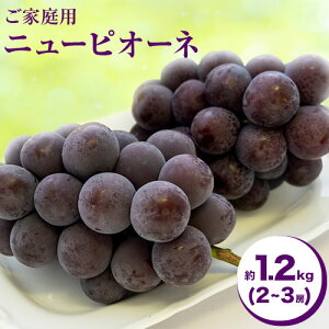 yӂ邳Ɣ[Łzy2025Ns\zƒp RY j[sI[l 1.2kg 2-3[ ̍ ܊(ނ)s2025N8{-10{oׁtR s }XJbg Ԃǂ 