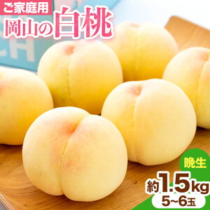 yӂ邳Ɣ[Łzy2026Ns\zƒp R̔ Ӑ 1.5kg ̍ ܊(ނ) s2026N8{-8{oׁtR s    ʕ t[c 
