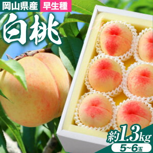 yӂ邳Ɣ[Łzy2026Ns\zRY  ij Iׂ e 900g i3`4ʁj ܂ 1.3kg i5`6ʁj N[ ̍ ܊(YR) s2026N7{-7{o