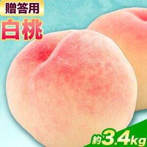 yӂ邳Ɣ[Łzy2026Ns\zp  Iׂ e 1.5kg 2.4kg 3.4kg nmt[c i˔_j s2026N6-8{oׁtR s t[c  ʕ  { ܖ