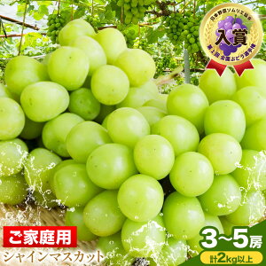 yӂ邳Ɣ[Łzyƒp/󂠂z VC }XJbg Iׂ 2-3[ (v1kgȏ) 3-5[ (v2kgȏ) OEC KINGDOMԂǂ s8{-10{o(yj)tR s Ԃǂ ʕ