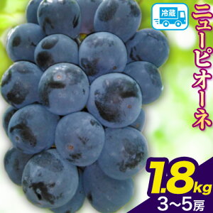 yӂ邳Ɣ[Łzj[sI[l 1.8kg (3`5[) ܂ 600g (1[) _͔| _EnEX͔| ΂̔_s9{-10{oח\tR s  t[c ʕ Ԃǂ 