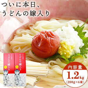 yӂ邳Ɣ[Łzɖ{Aǂ̉œ(H@ۓ) 1.2kg(200g×6)^iJ? Rs R ss30ȓɏoח\(yj)tiYAI[XgAYjC