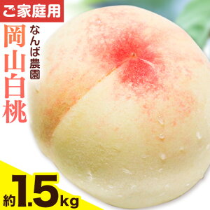 yӂ邳Ɣ[Łz y2026Ns\zƒp R 1.5kg ( 6 O ) s2026N6{-8{oׁtȂΔ_ R s t[c  ʕ  {   A 킯 