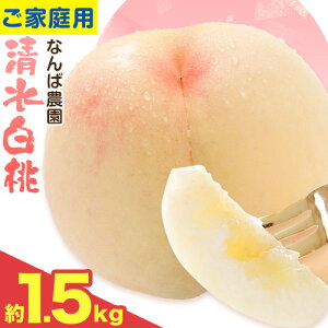 yӂ邳Ɣ[Łz y2026Ns\zƒp  1.5kg ( 6 O ) s2026N7{-7{oׁtȂΔ_ R s t[c  ʕ  {   A 킯 