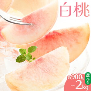 yӂ邳Ɣ[Łzy2026Ns\z Iׂe 900g 1.5kg 2kg   R Y t[c ʕ Λs2026N6{-8{oׁtR s t[c  ʕ  