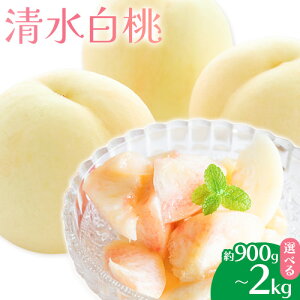 yӂ邳Ɣ[Łzy2026Ns\z Iׂe 900g 1.5kg 2kg   R Y t[c ʕ Λs2026N7{-8{oׁtR s t[c  ʕ 