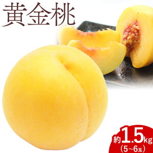 【ふるさと納税】【2026年先行予約】黄金桃 1.5kg 5〜6玉 もも モモ 岡山 国産 フルーツ 果物 ギフト 桃茂實苑《2026年8月中旬-9月上旬頃出荷》岡山県 浅口市 フルーツ 桃 果物 青果【配送不可地