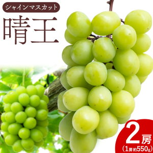 yӂ邳Ɣ[Łzy2026Ns\zVC }XJbg  2[i1[550gȏj}XJbg uhE  RY Y t[c ʕ Mtg Λs2026N7{-8{oׁtR