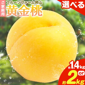 yӂ邳Ɣ[Łzy2026Ns\z  ƒp Iׂe 1.4kg (4`6) 2kg (5`8) t[ct@[Rs2026N8{-8oׁtR s  t[c  ʕ