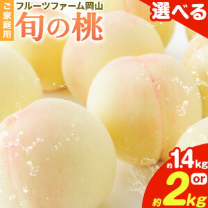yӂ邳Ɣ[Łzy2026Ns\z { {̓ ƒp Iׂe 1.4kg (4`6) 2kg (5`10) t[ct@[Rs2026N6{-8{oׁtR s  t[c 