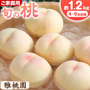 yӂ邳Ɣ[Łz y2026Ns\zƒp {̓ 1.2kg ( 4~6ʑO ) БnEa(듍) s2026N7{-8{oׁtR s   t[c ʕ  {  킯