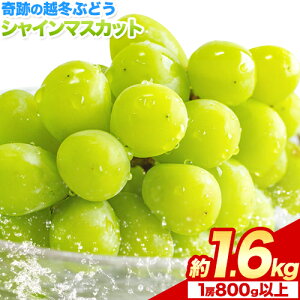 yӂ邳Ɣ[ŁzՂ̉z~Ԃǂ VC}XJbg 1[ (600gȏ) 1[ (800gȏ) 2[ (1[600gȏ) 2[ (1[800gȏ) ܉ʉs2025N11{-2026N3oׁtz~Ԃǂ t[c ʕ R