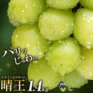 yӂ邳Ɣ[ŁzԂǂ VC}XJbg  600g 700g 1.2kg 1.4kg 1[ 2[ ʔ؉ʁs9{-11{oׁt }XJbg  R s t[c ʕ 蕨 Y RY 