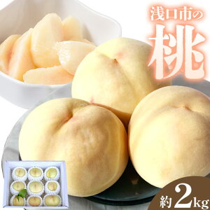 yӂ邳Ɣ[Łzy2026Ns\zsY  1.3kg(5`6) 2kg(7`9) SUEHIRO_s2026N6{-8{oׁtR s t[c  ʕ  {  Y RY