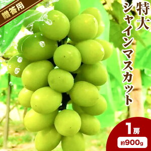 yӂ邳Ɣ[Łzys\zp VC}XJbgIׂ 700gȏ 900g 1.2kg 1[ 2[ fruceeds10{-10{oׁt R s RY Ԃǂ t[c ʕ 