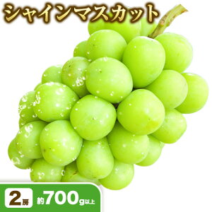 yӂ邳Ɣ[Łzys\zVC}XJbg Iׂ 700gȏ 600gȏ 1[ 2[ _s2025N10{-11{oׁt Ԃǂ  R s Ԃǂ t[c ʕ 