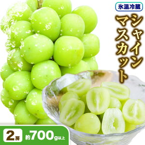 yӂ邳Ɣ[ŁzyX①zVC}XJbg Iׂ 700gȏ 600gȏ 1[ 2[ _s2025N11{-12{oׁt Ԃǂ  R s Ԃǂ t[c ʕ 