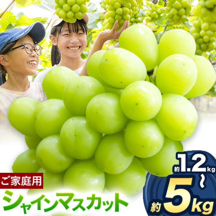 楽天市場】【ふるさと納税】ぶどう シャインマスカット ご家庭用 訳  