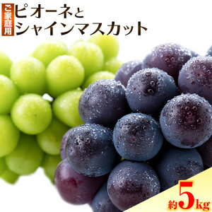 yӂ邳Ɣ[ŁzԂǂ sI[l  VC}XJbg ~bNX ƒp  1.2kg 2[  2kg 3`5[  5kg 2[ ~ 13[s10{-11{oׁt肨_  R s Ԃǂ