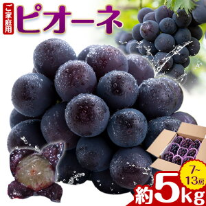 yӂ邳Ɣ[ŁzԂǂ ƒp sI[l  1.2kg  2kg  5kg 2[ ~ 13[ 肨_s2025N9{-10{oׁtR s  Ԃǂ t[c ʕ  fU[g 