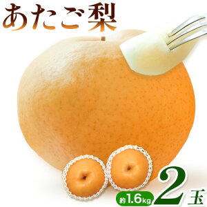 yӂ邳Ɣ[Łzys\z  Iׂ 1(1kg) or 2(1.6kg) Зs2025N11{-12{oׁt R s RY Ȃ t[c ʕ  iV  